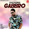 About Gabbro Song