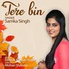 About Tere Bin Song