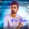 About Dil Todta Song