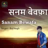 About Sanam Bewafa Song