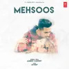 About Mehsoos Song