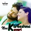 About Kareeshma Nee Kaveri Song