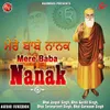 About Mere Baba Nanak Song