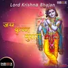 About Jai Krishna Murari Song