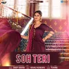 About Soh Teri Song