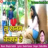 About Tu Sanam Bewafa Hai Song