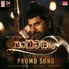 About Promo Song Song