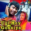 About Ugi Hey Gosaiya Song