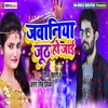 About Jawaniya Jhuth Ho Jayi Song