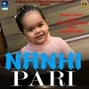 About Nannhi Pari Song