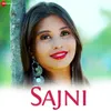 About Sajni Song