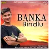 About Banka Bindlu Song