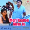 About Meri Yaadon Mein Tu Hai Song