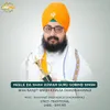 About Neele Da Shah Aswar Guru Gobind Singh Song