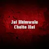 About Jai Bhimwale Chalte Hai Song