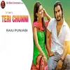 Teri Chunni