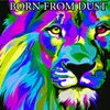 About Born from dust Song