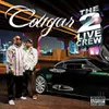 Cougar Clean Radio