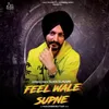 About Feel Wale Supne Song