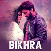 About Bikhra Song