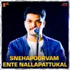 About Mizhikal Nanayum Song