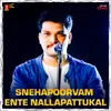 About Abvanorappil Song