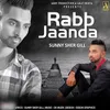 About Rabb Jaanda Song