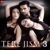 About Tere Jism 3 Song