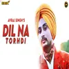 About Dil Na Tordi Song