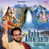 About Hey Baba Amarnath Song