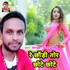 About Re Chhauri tor chote chote Song