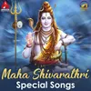 Om Namah Shivaya