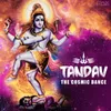Shiva Tandava Trance 2.0 (By Bhakt Ravana)