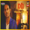 About DIL CHURA KE LE GAYI Song