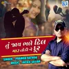 About Tu Jaay Bhale Dil Maru Todine Dur Song