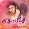 About O Preetiye Song