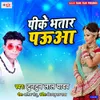 About Pike Bhatar Pauaa Song