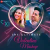 About The Ultimate Valentine's Day Mashup Song