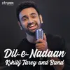 About Dil-e-Nadaan Song