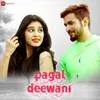 About Pagal Deewani Song