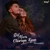 About Dil Mera Churaya Kyun Recreated Song