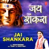 About Jai Shankara Song