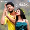 About O Pokhila Song