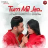 About Tum Mil Jao Song