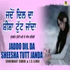 About Jaddo Dil Da Sheesha Tutt Janda Song