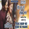 Tere Roop Nu Vekhke Naare