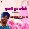 About Gulabi Suit Waliye Song