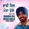 About Bhabhi Dil Mera Dole Song