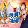 About Jai Jai Hye Bholenath Song