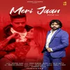 About Meri Jaan Song